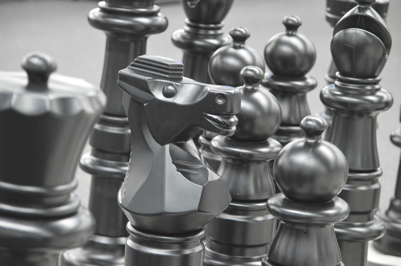 chess pieces knight chess free photo