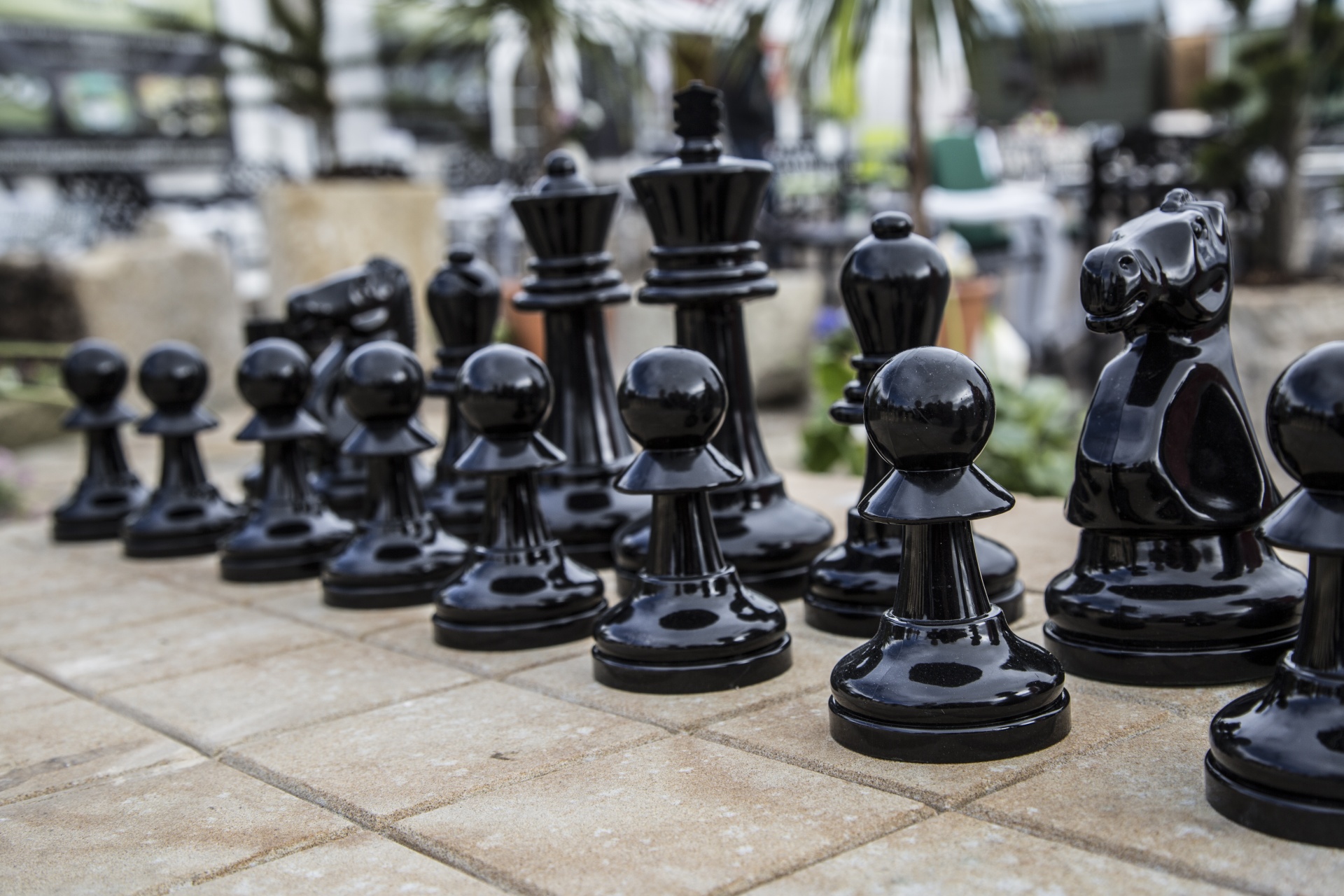 chess game games free photo