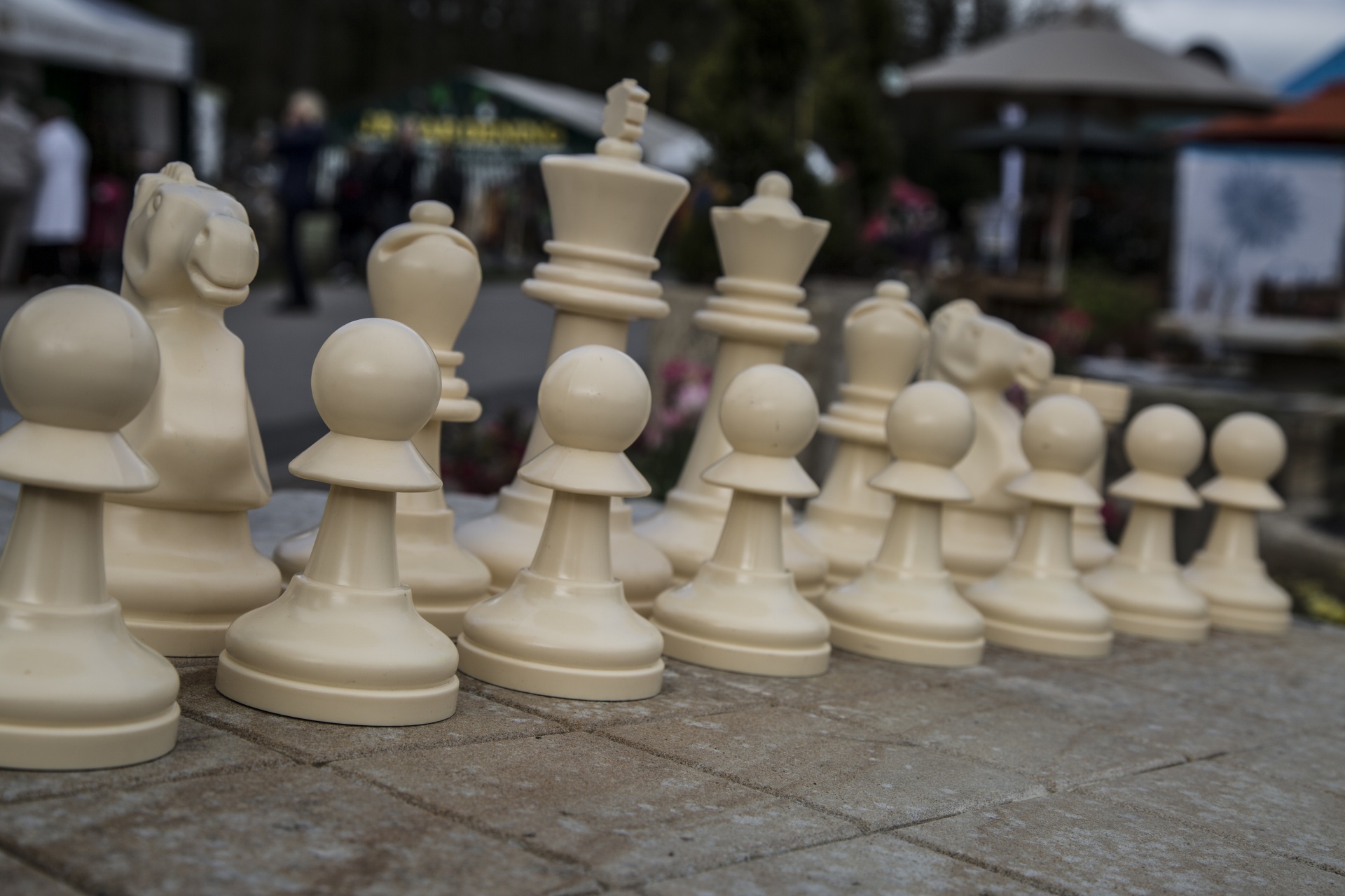 chess game games free photo