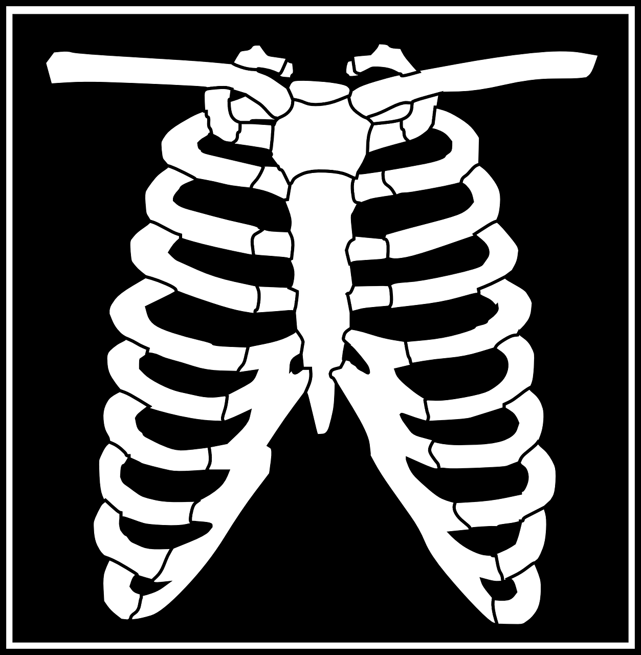 chest ribcage black free photo