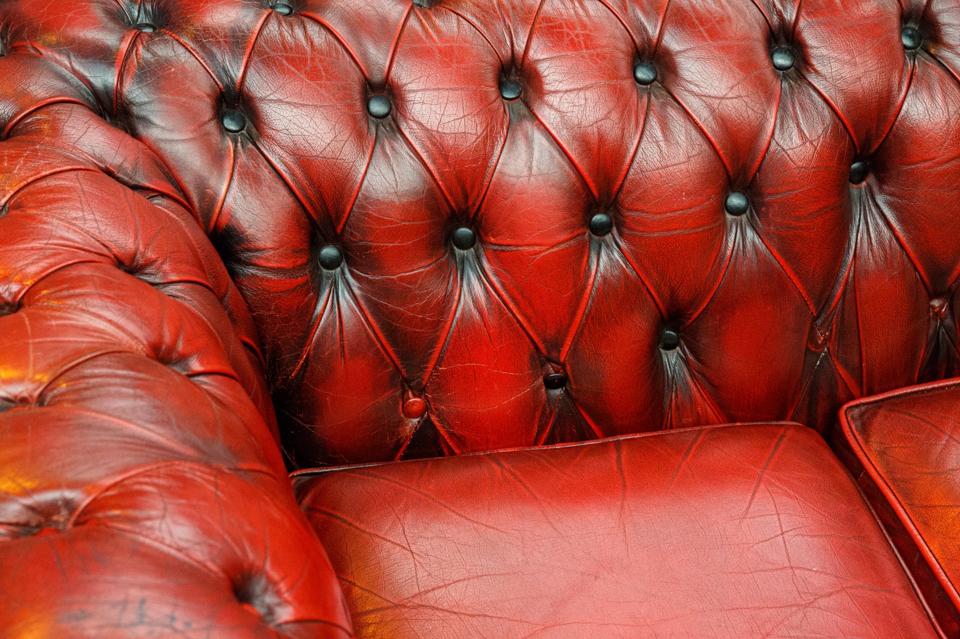 antique button chesterfield free photo