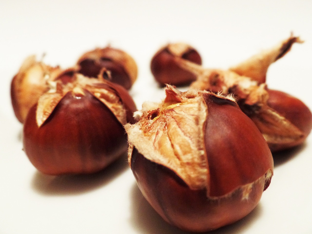 chestnut chestnuts spur free photo