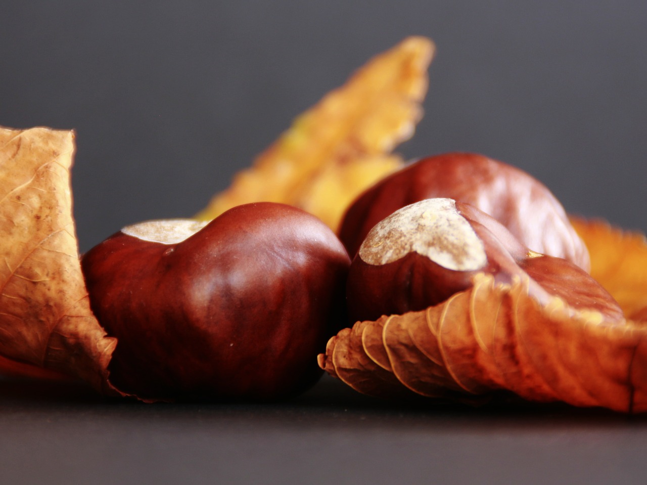 chestnut leaves autumn free photo