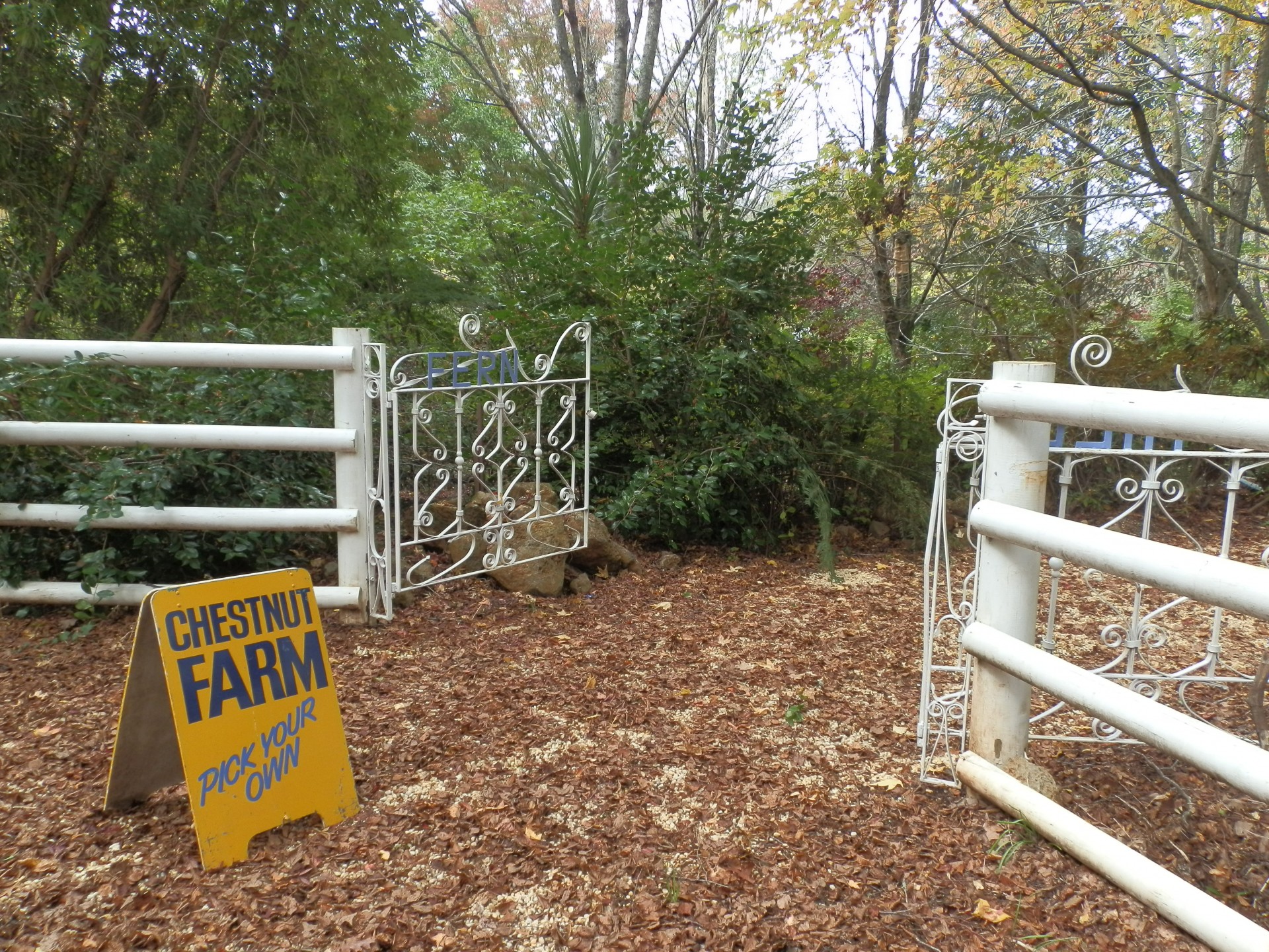 chestnut farm gate free photo