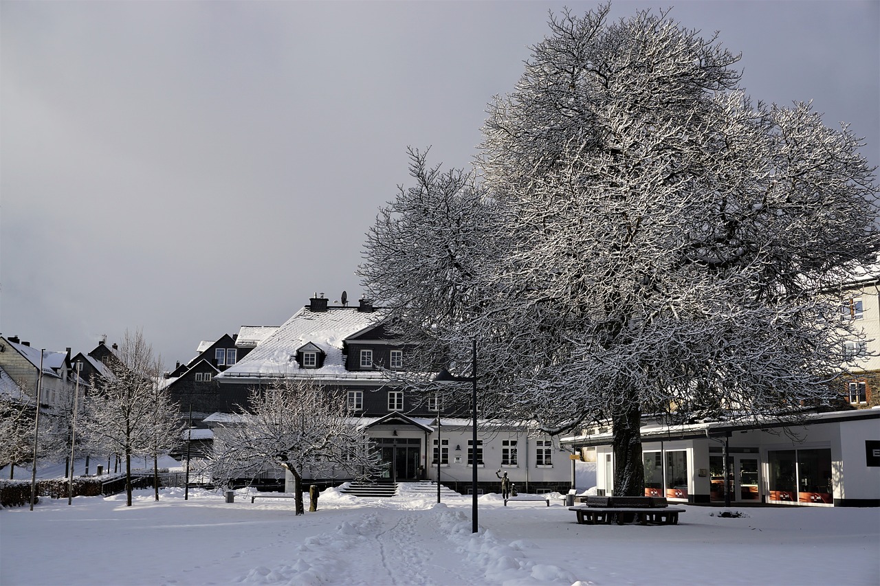 chestnut tree winter snow free photo