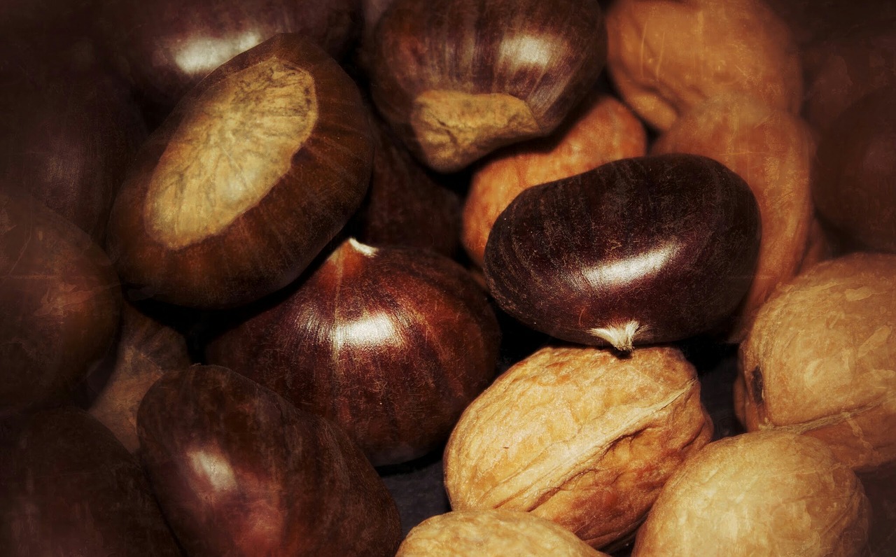 chestnuts walnuts november free photo