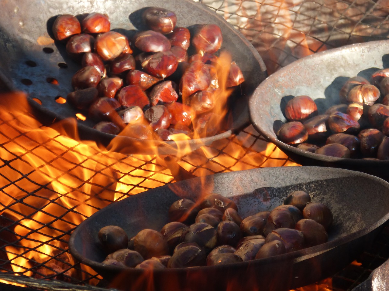 chestnuts fire roasted chestnuts free photo