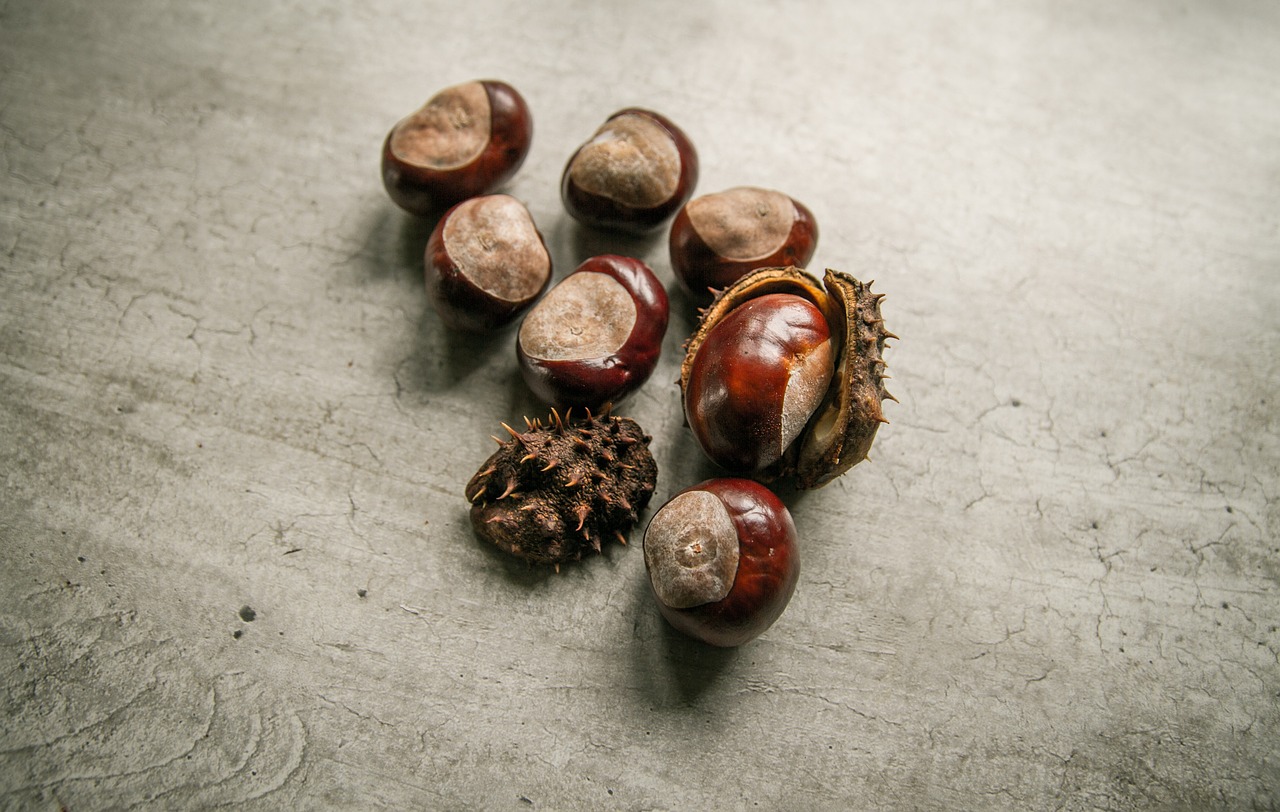 chestnuts fresh food free photo
