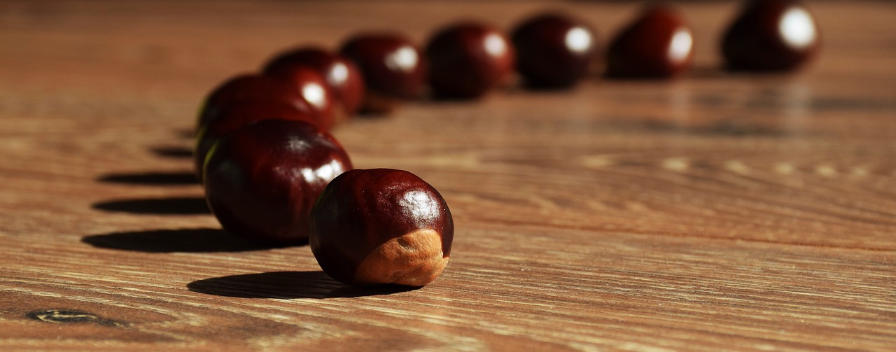 chestnuts autumn brown free photo