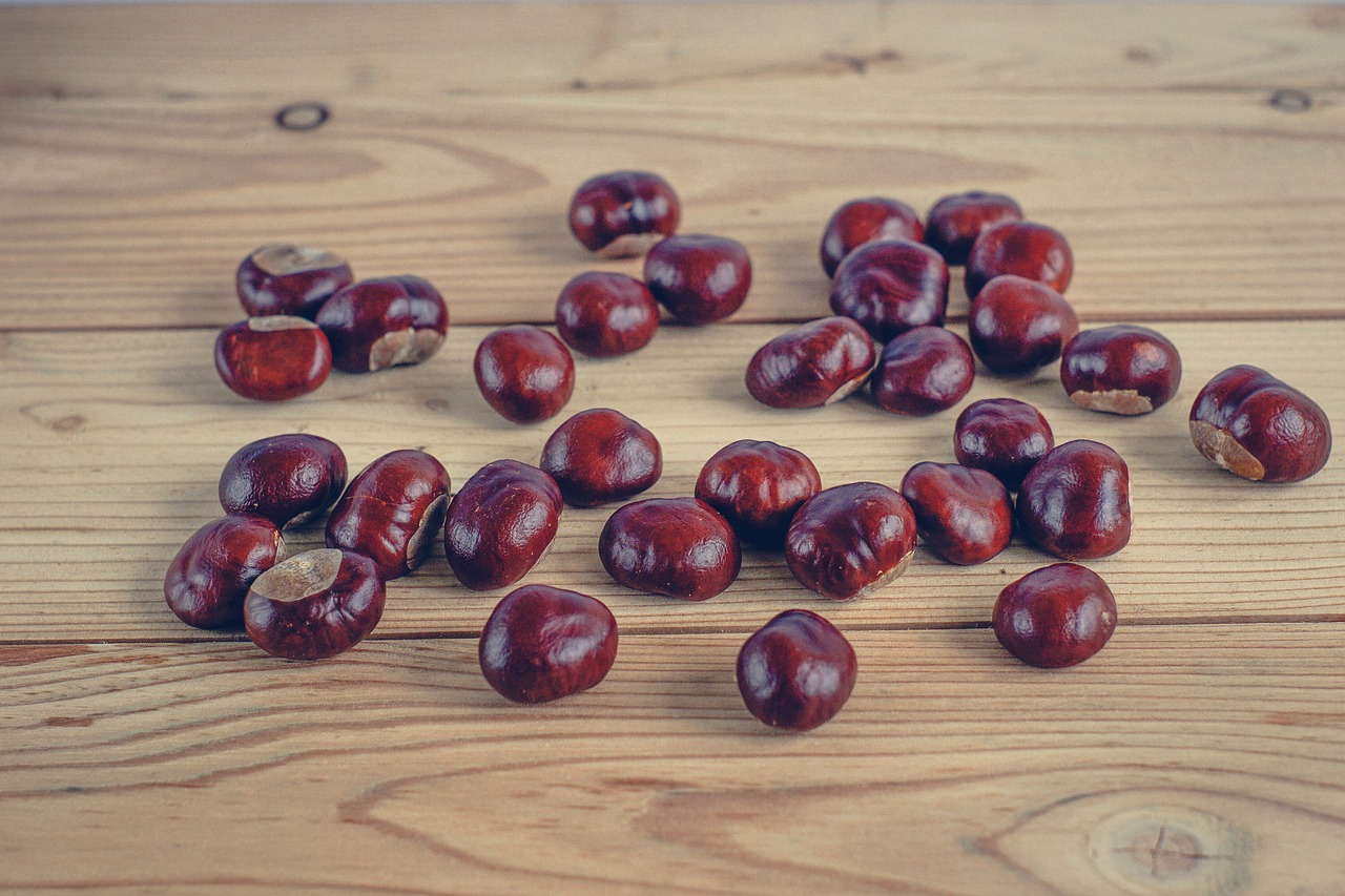 chestnuts autumn boards free photo