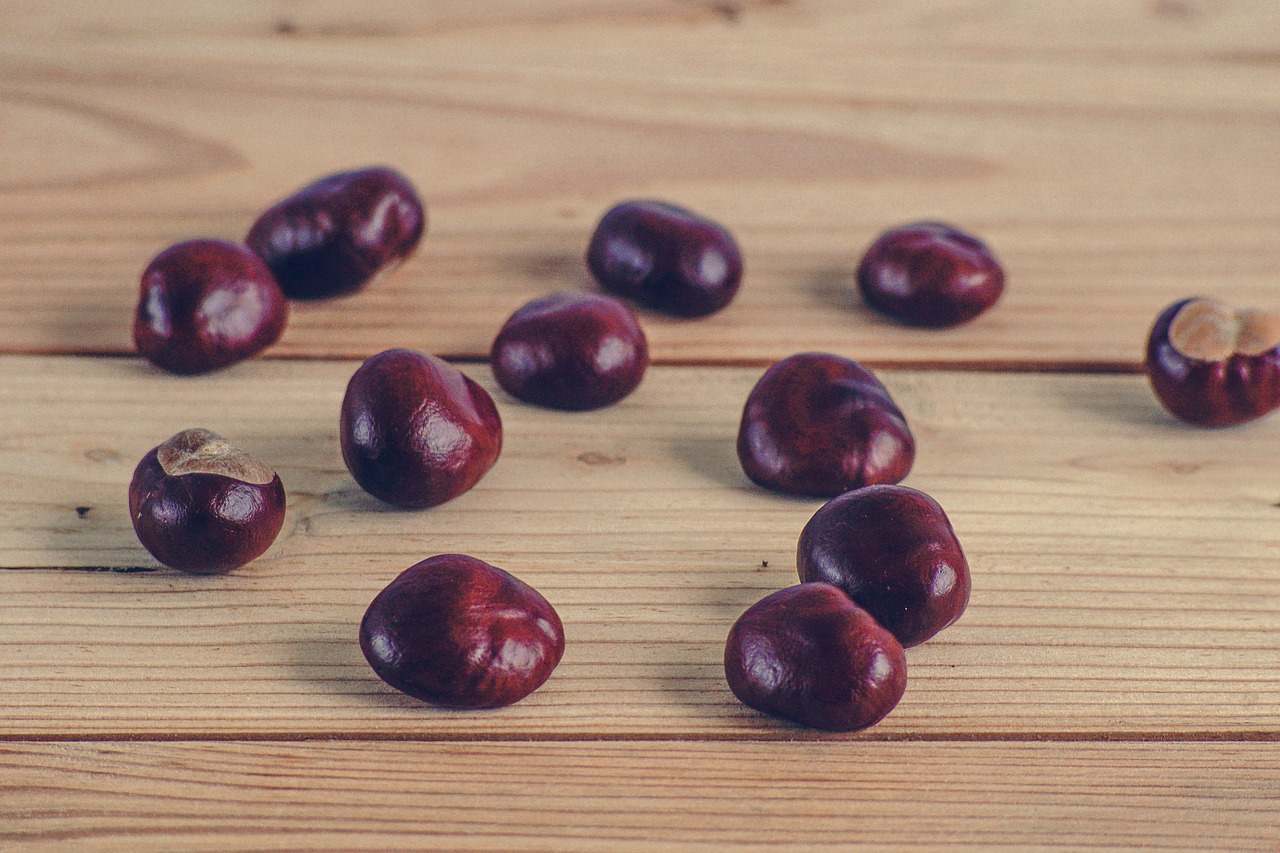 chestnuts autumn boards free photo