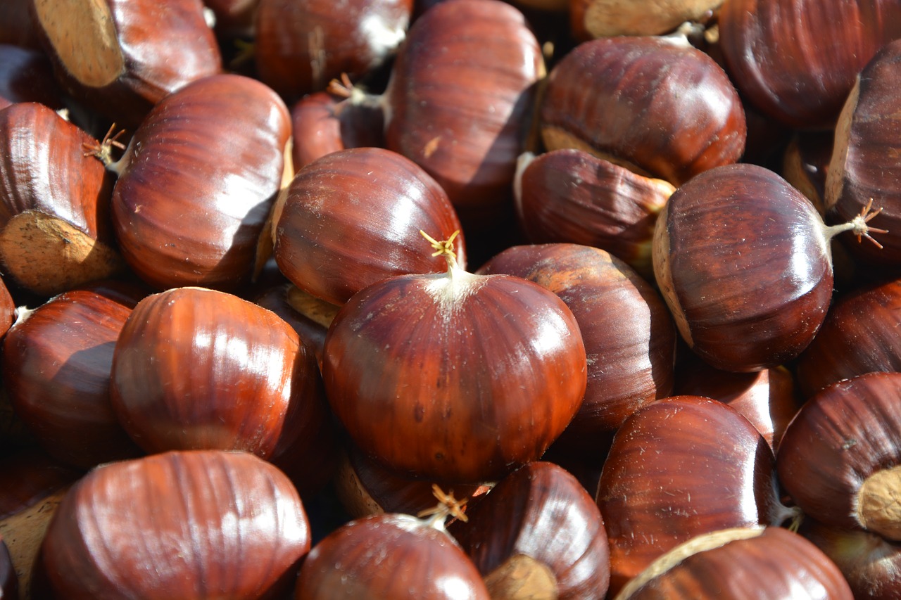 chestnuts fruit chestnut free photo