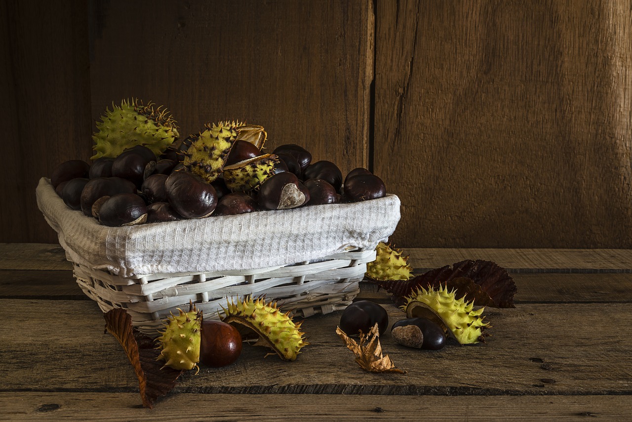 chestnuts peaks autumn free photo