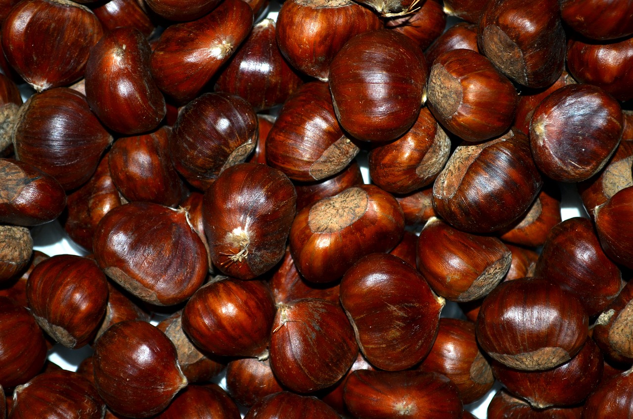 chestnuts autumn roasted chestnuts free photo