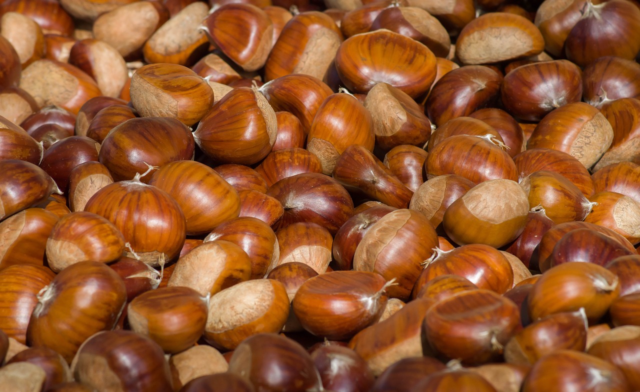 chestnuts  fall  chestnut free photo