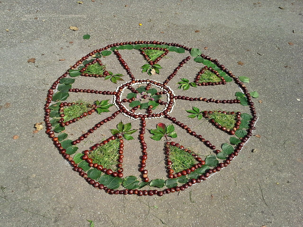 chestnuts mandala autumn free photo