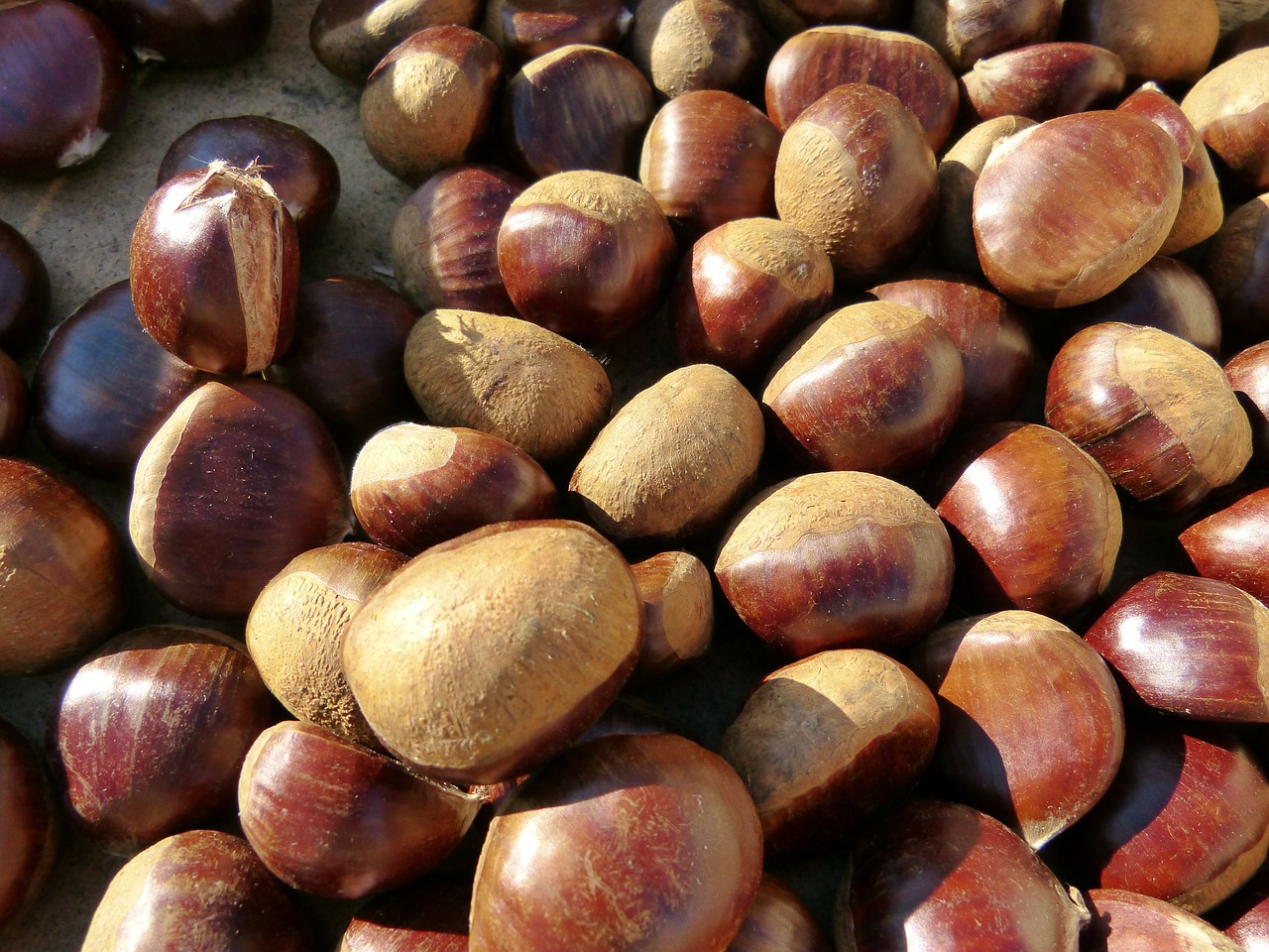 chestnuts sweet chestnuts fruits free photo