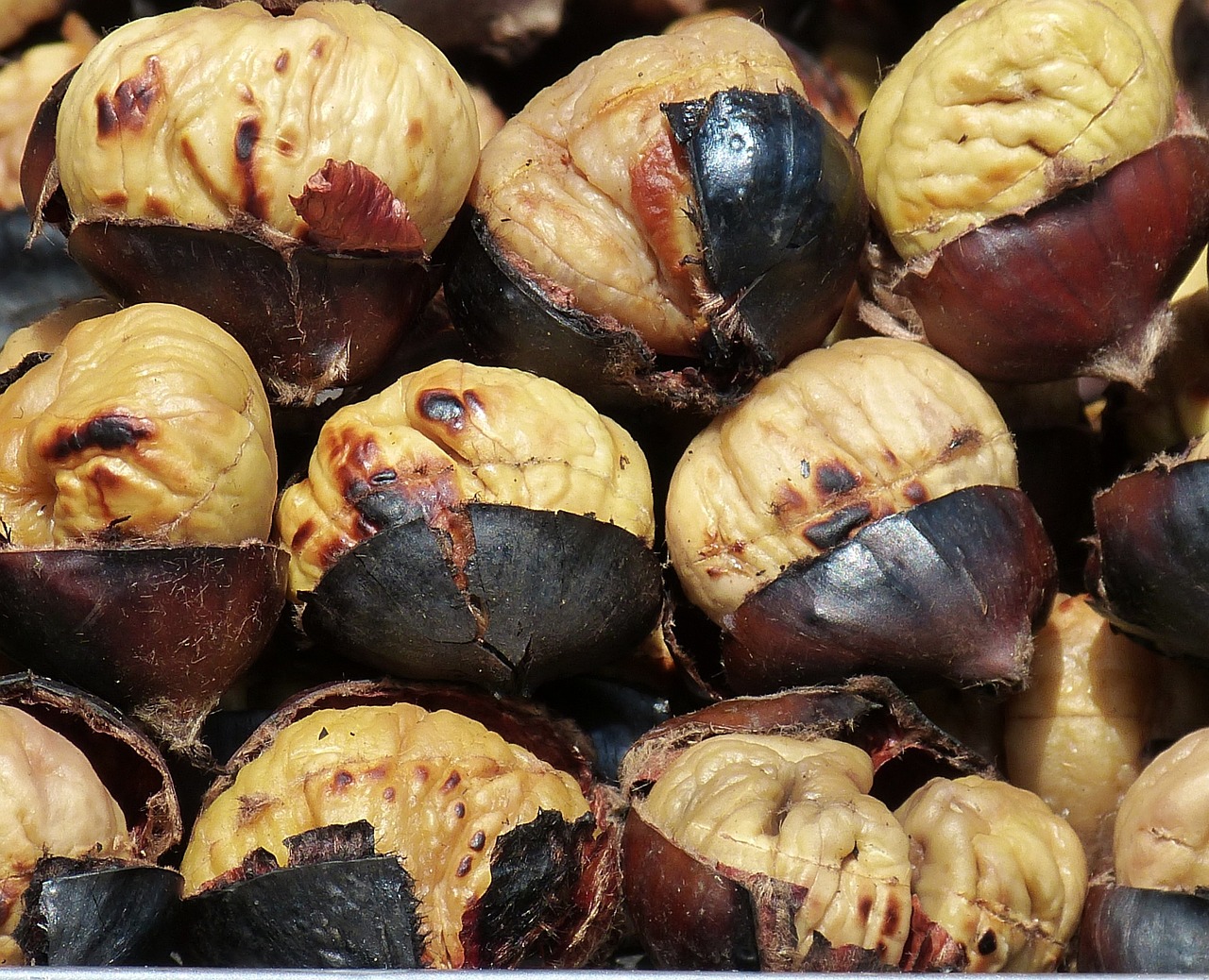 chestnuts chestnut fruit free photo