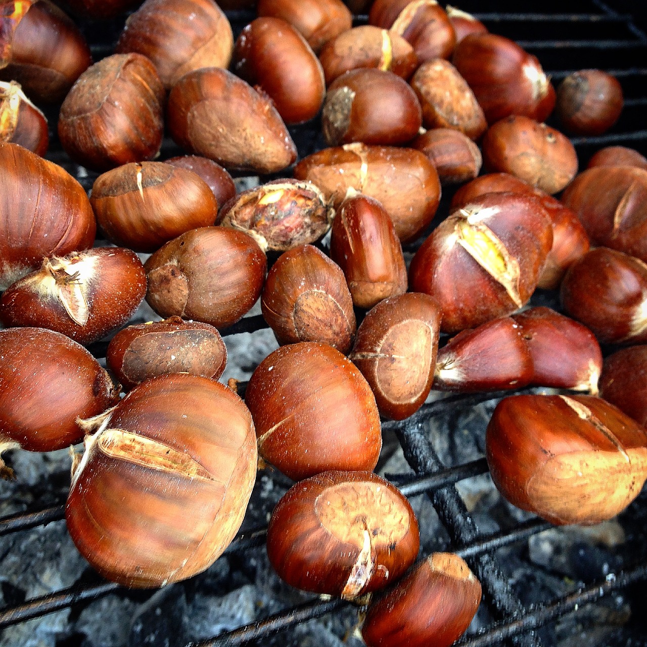 chestnuts magosto autumn free photo