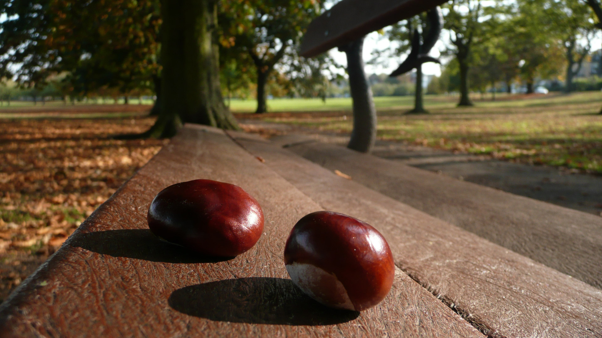 chestnuts bench two free photo