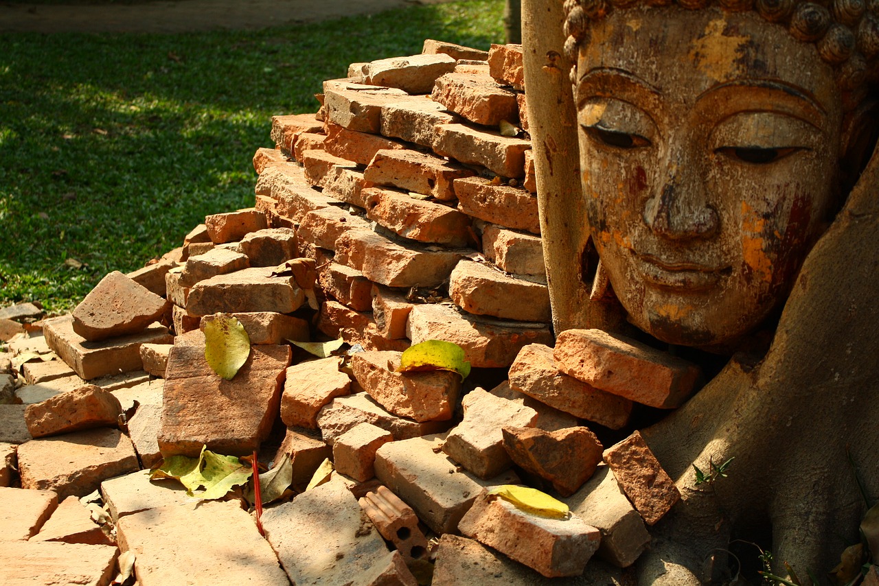 chiang mai thailand garden free photo