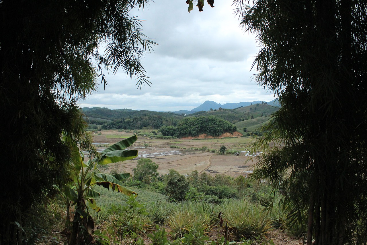 chiangrai nature mountains free photo