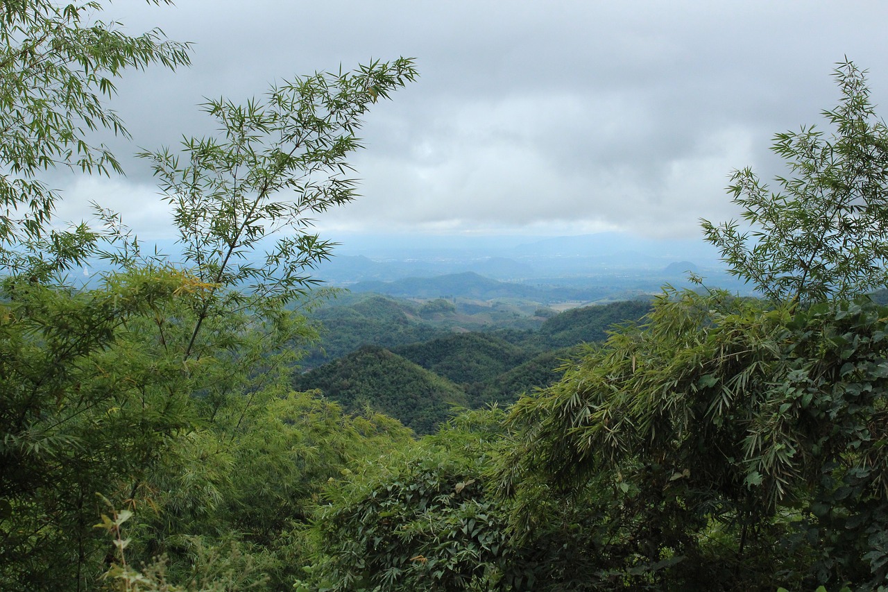 chiangrai nature mountains free photo