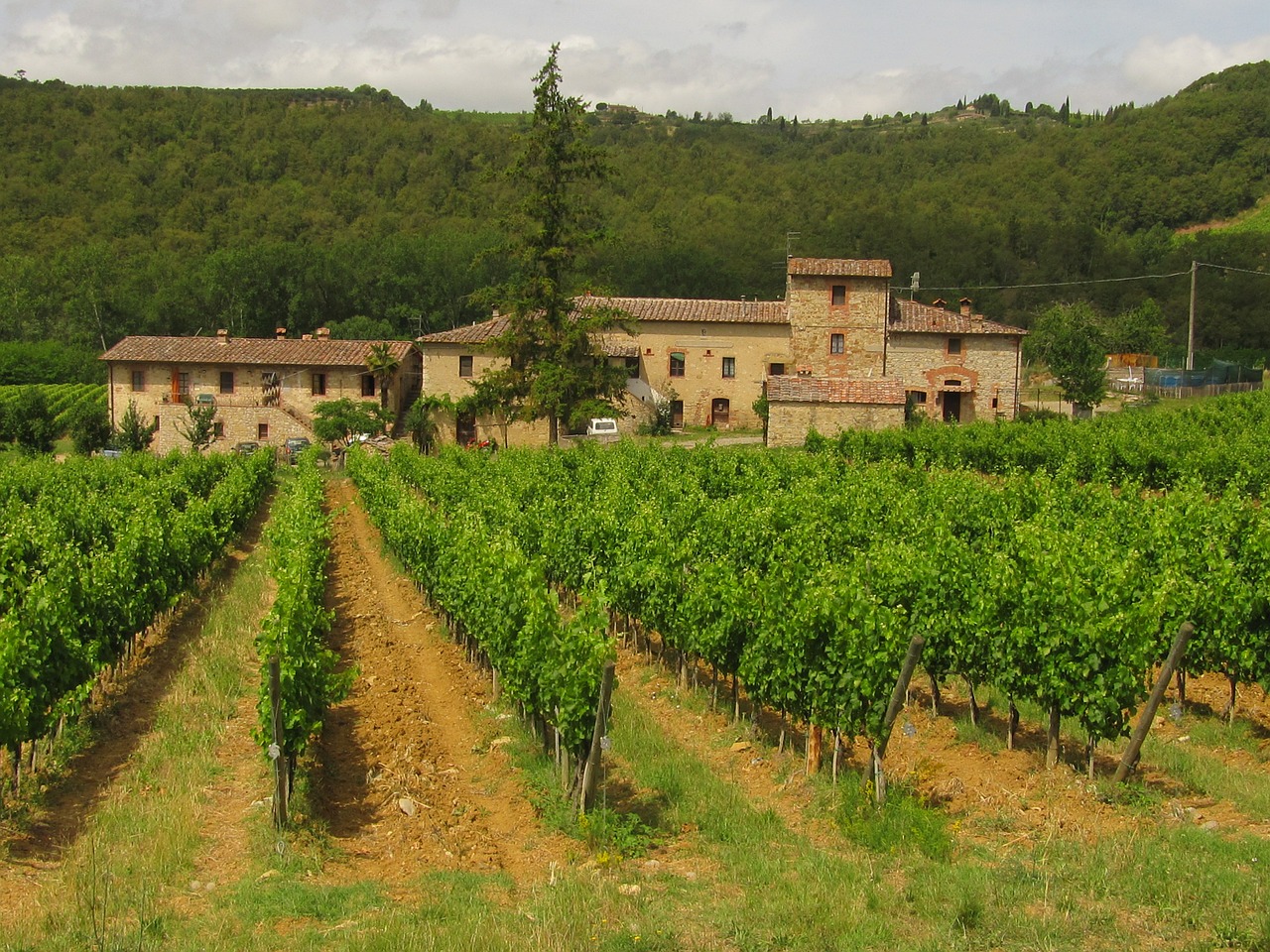 chianti mountains tuscany wine free photo