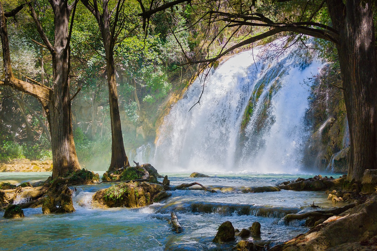 chiapas  méxico  nature free photo