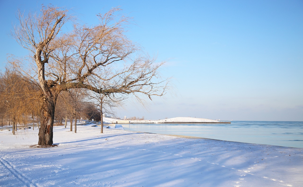 chicago snow water free photo