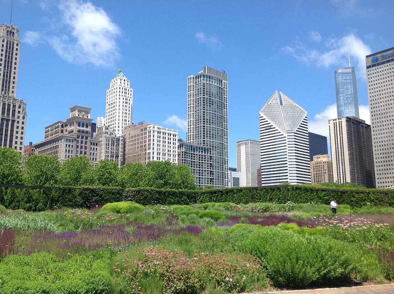 chicago garden urban free photo