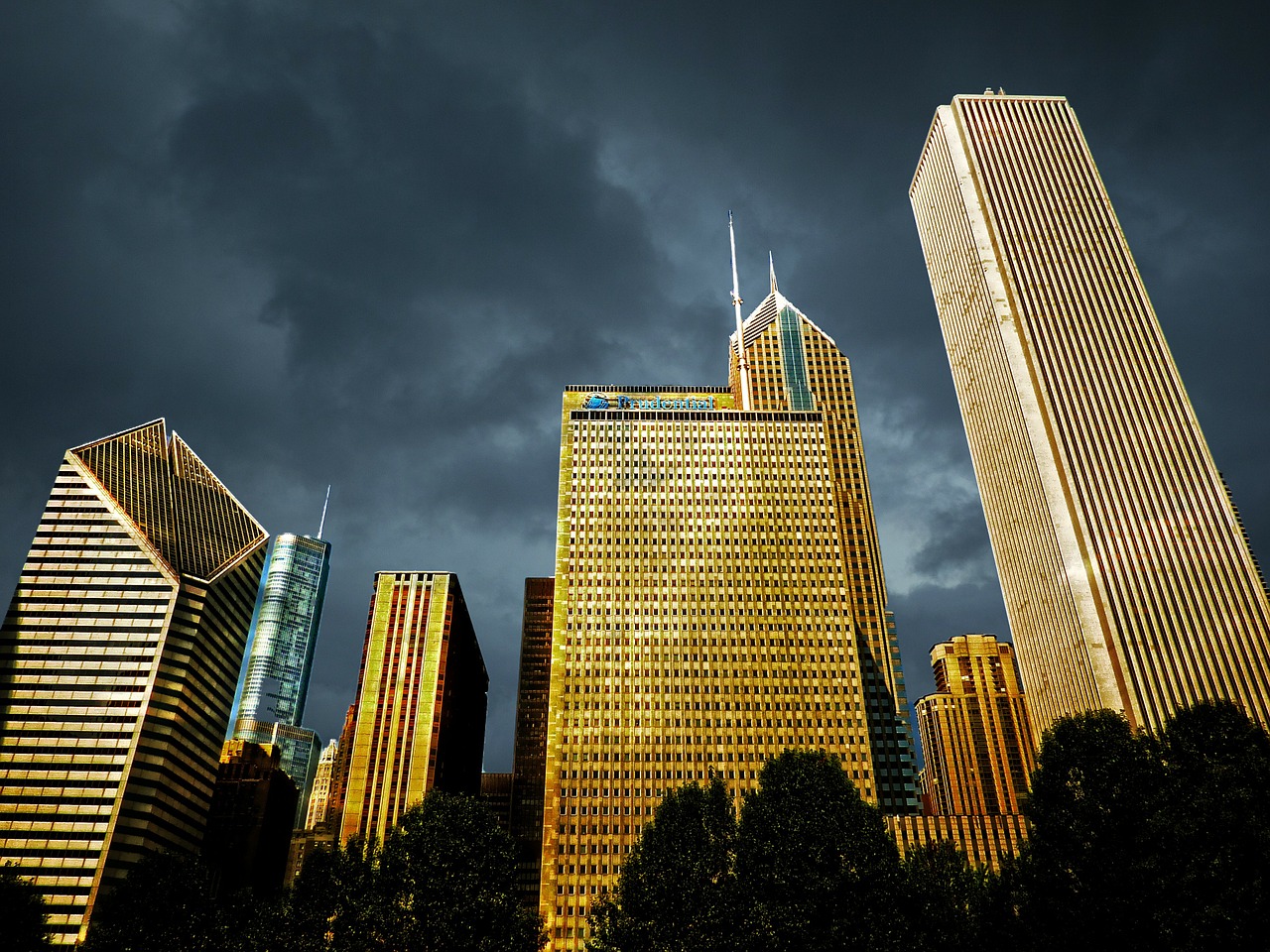 chicago downtown dawn free photo