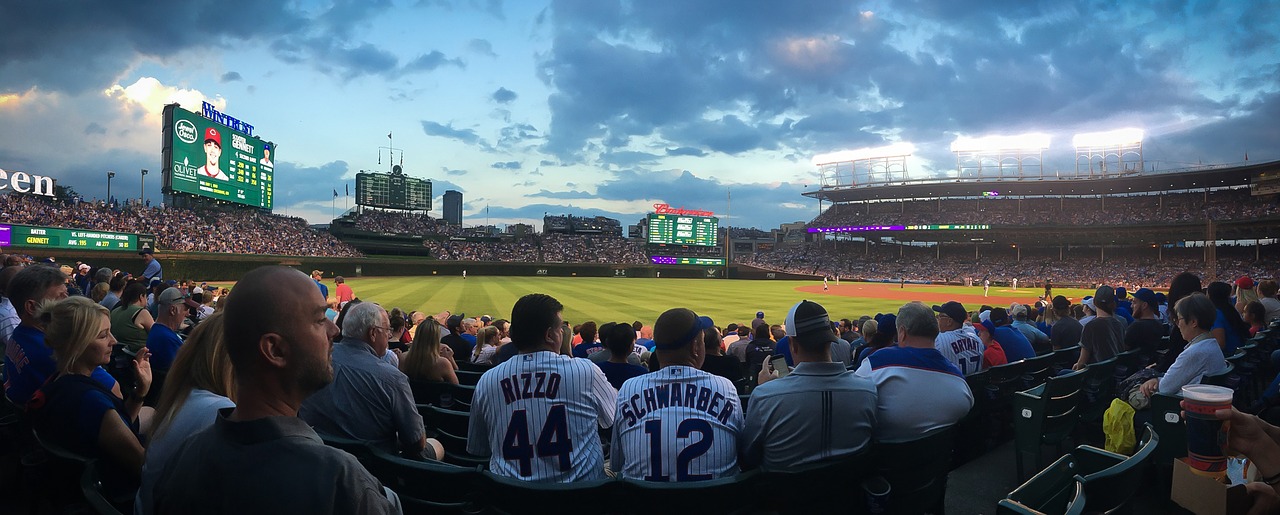 chicago baseball cubs free photo