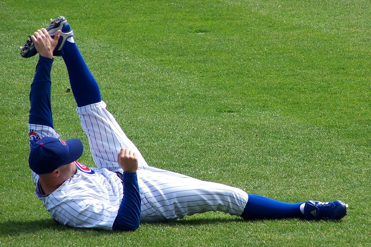 chicago cubs baseball free photo