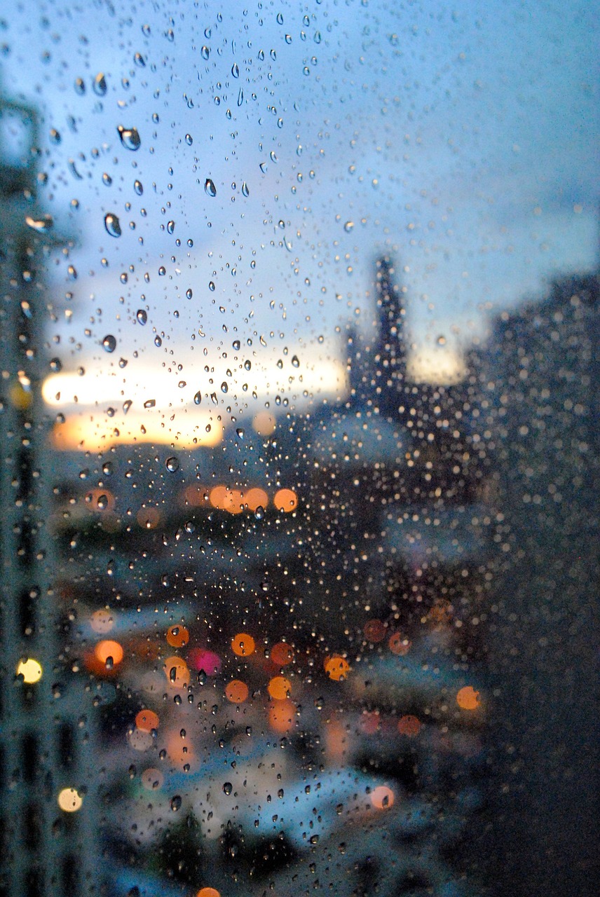 chicago rain willis tower free photo