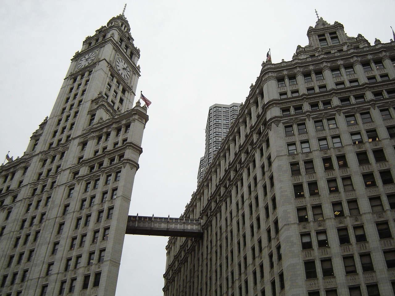 chicago city buildings free photo