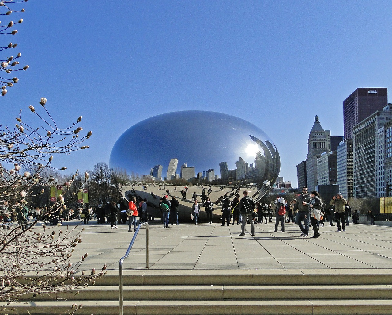 chicago bean chicago illinois free photo