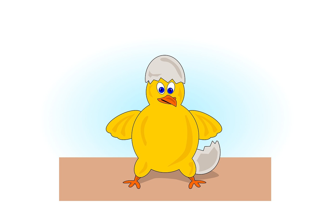 chick egg illustration free photo