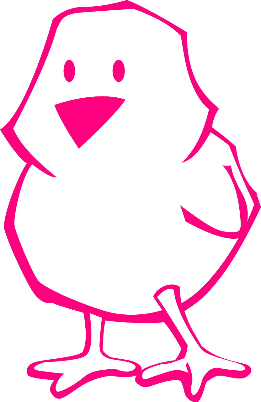 chick pink outline free photo