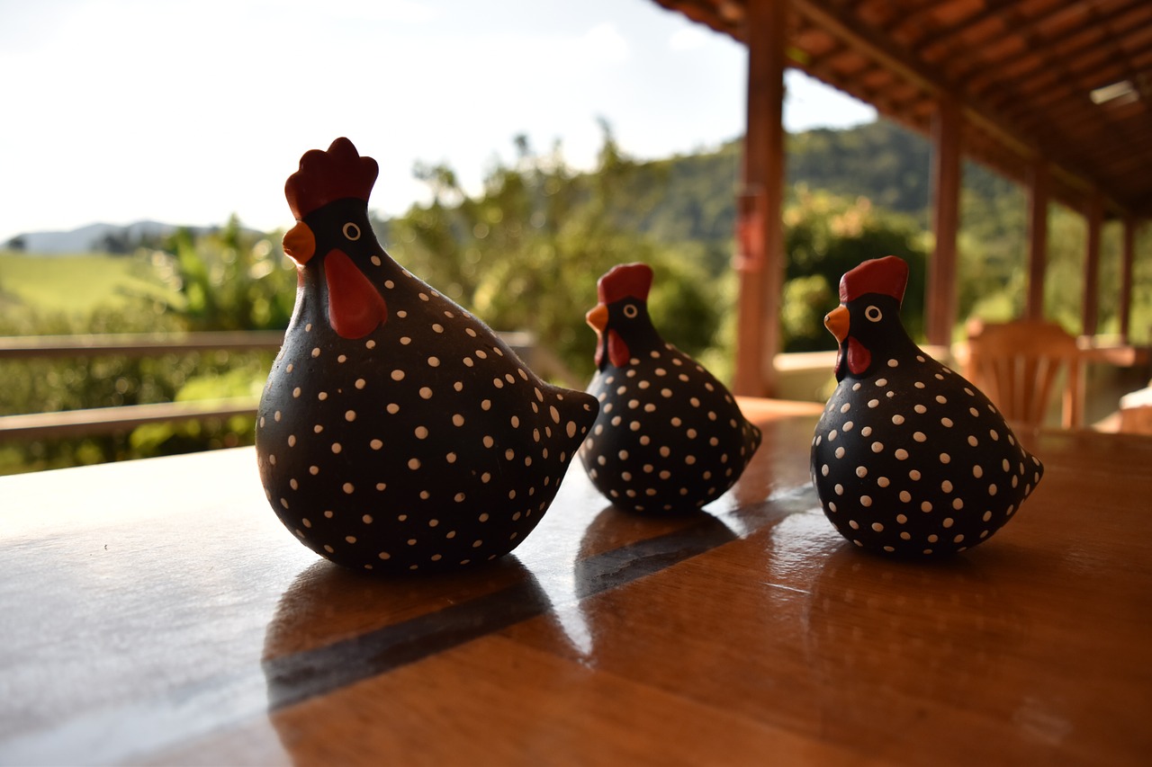 chicken field green free photo