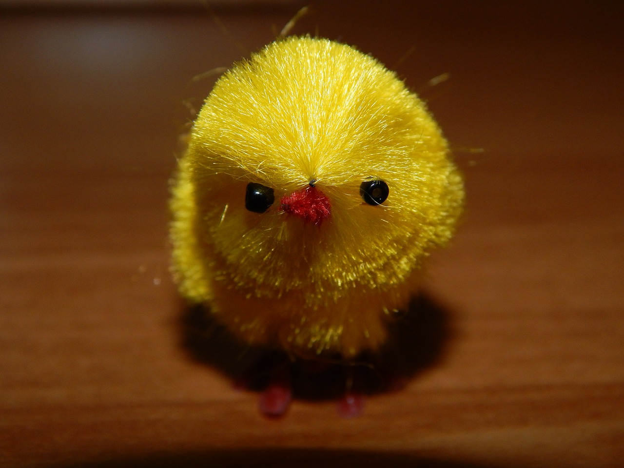 chicken chick ornament free photo