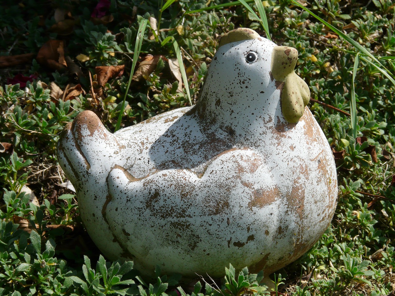 chicken,garden,figure,bird,ornament,garden figurines,ceramic,free pictures, free photos, free images, royalty free, free illustrations, public domain