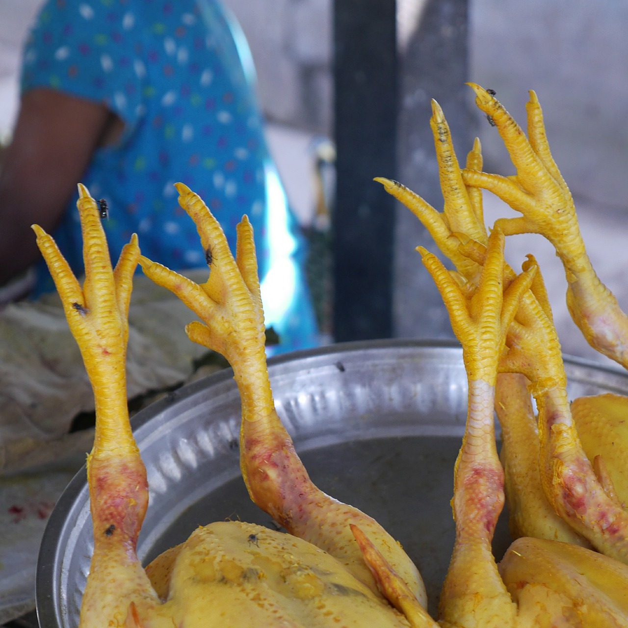 Edit free photo of Chicken claw,chicken,boiling fowl,claw,horror ...