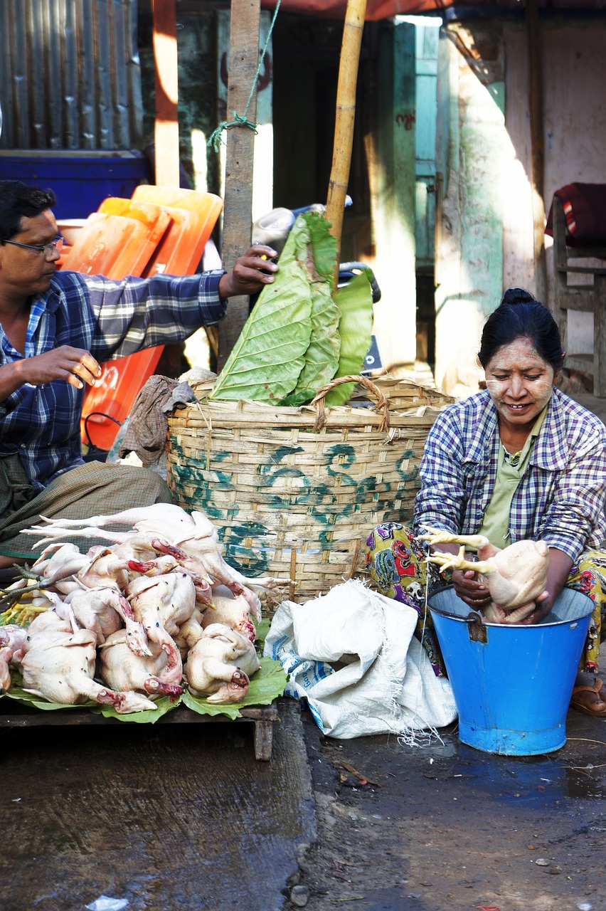 chickens market chicken free photo