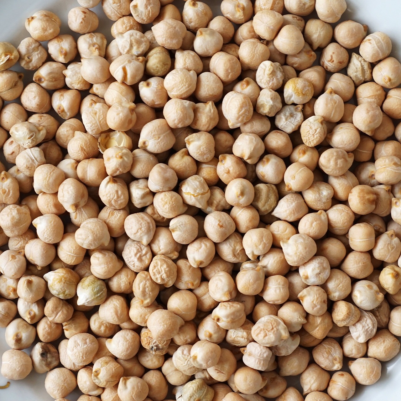 chickpeas grains eating free photo