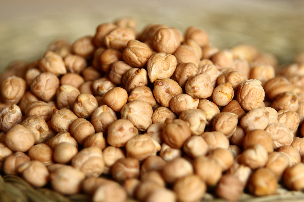 chickpeas  ceci  food free photo