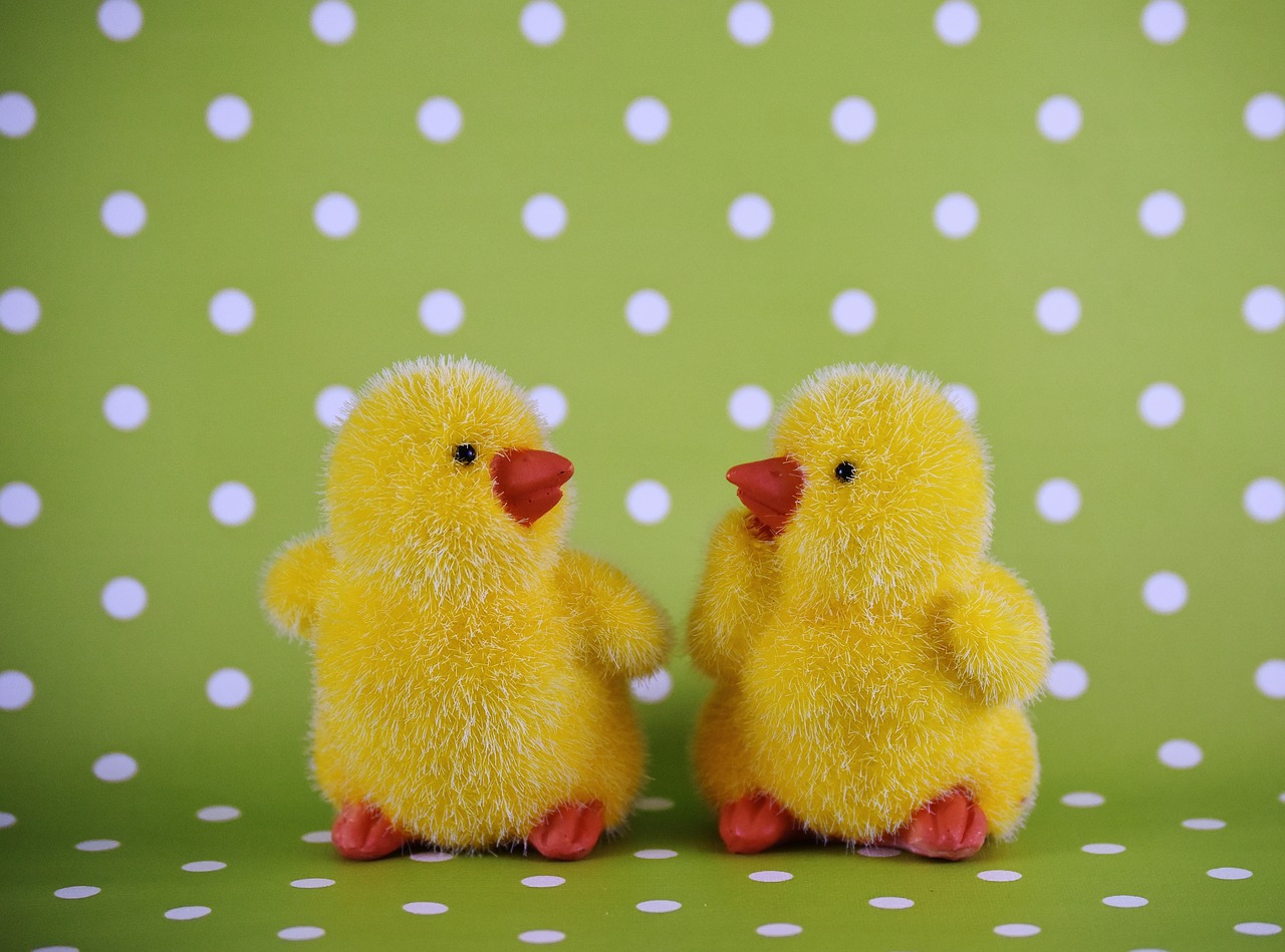 chicks easter cute free photo