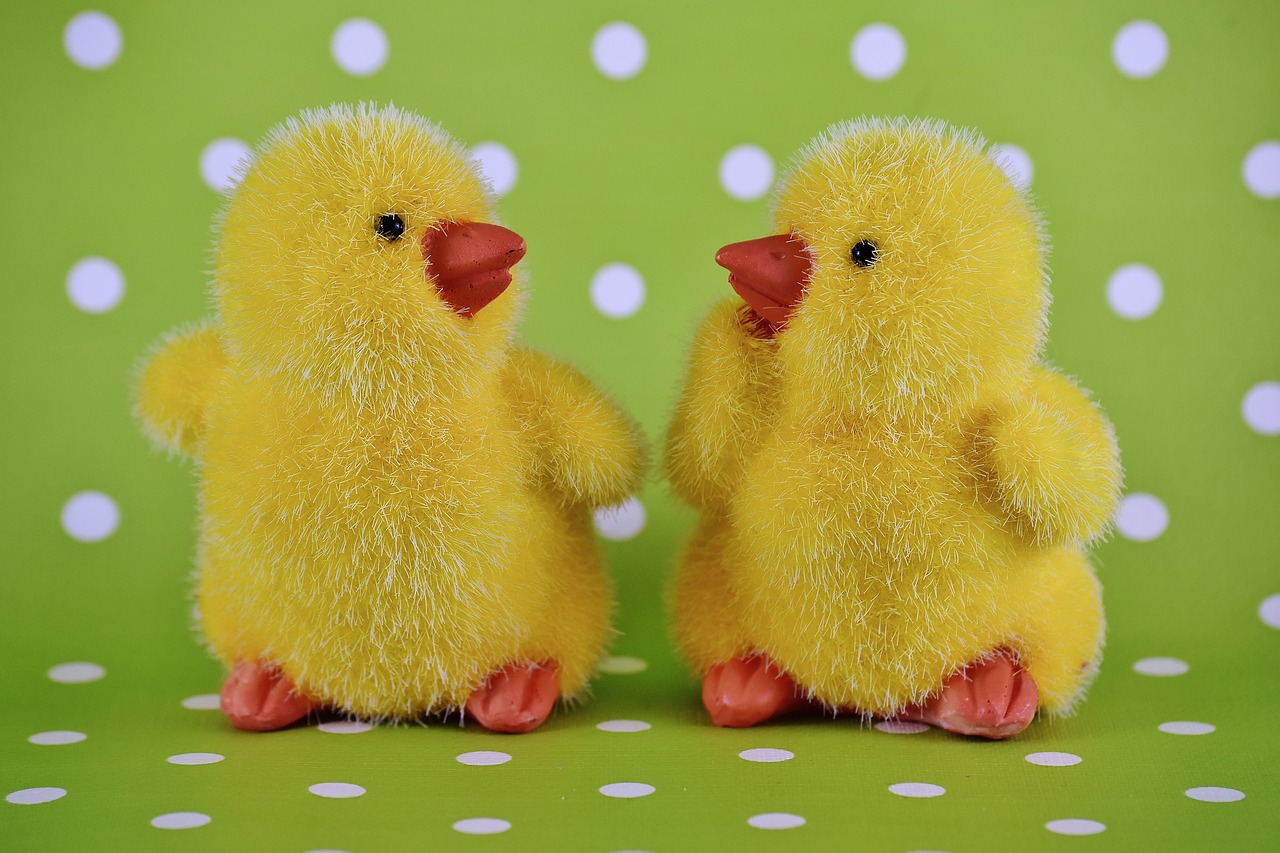 chicks easter cute free photo