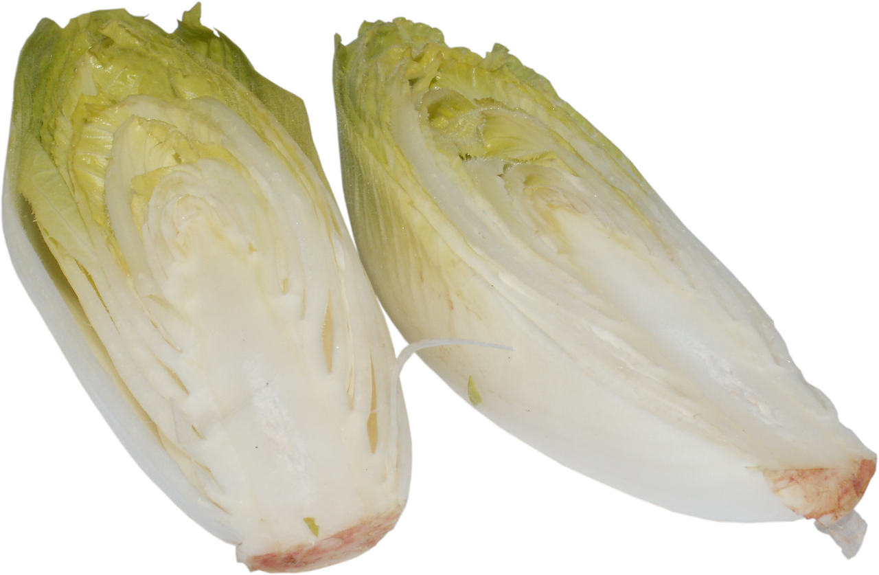 chicory a vegetable vegetables free photo