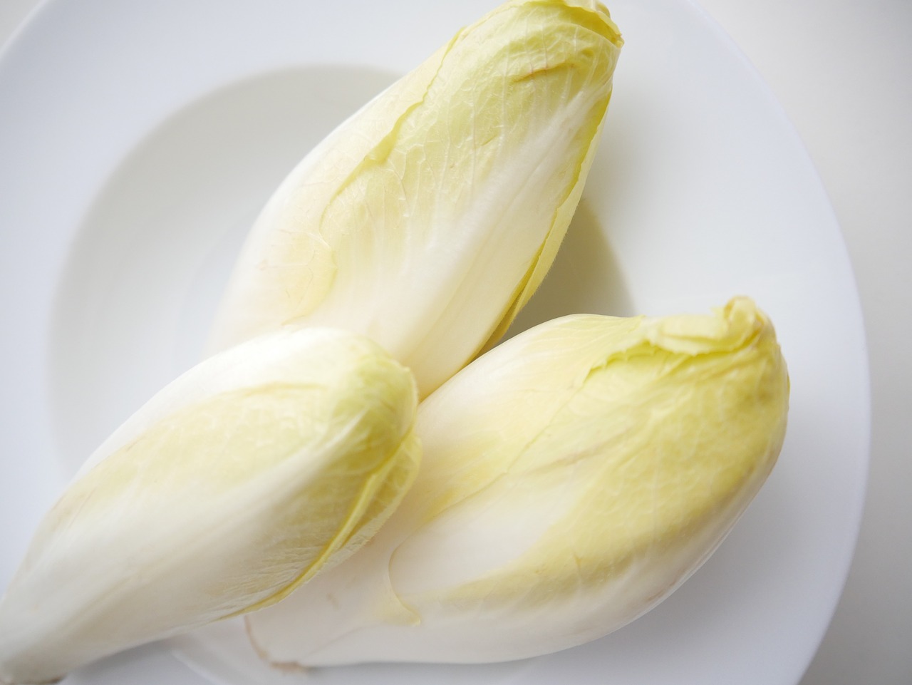 chicory  vegetables  food free photo